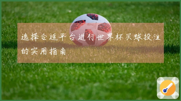 选择合适平台进行世界杯买球投注的实用指南