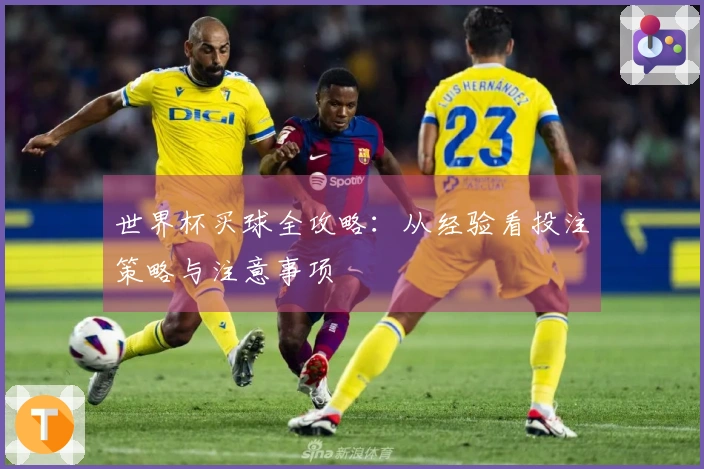世界杯买球全攻略：从经验看投注策略与注意事项