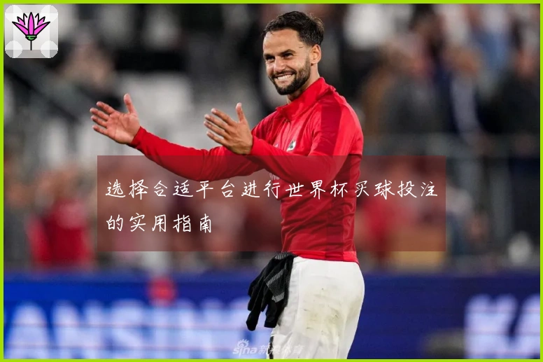 选择合适平台进行世界杯买球投注的实用指南