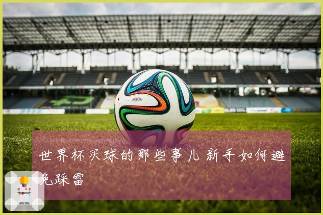 世界杯买球的那些事儿 新手如何避免踩雷