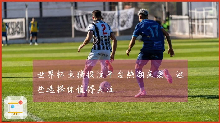 世界杯竞猜投注平台热潮来袭，这些选择你值得关注